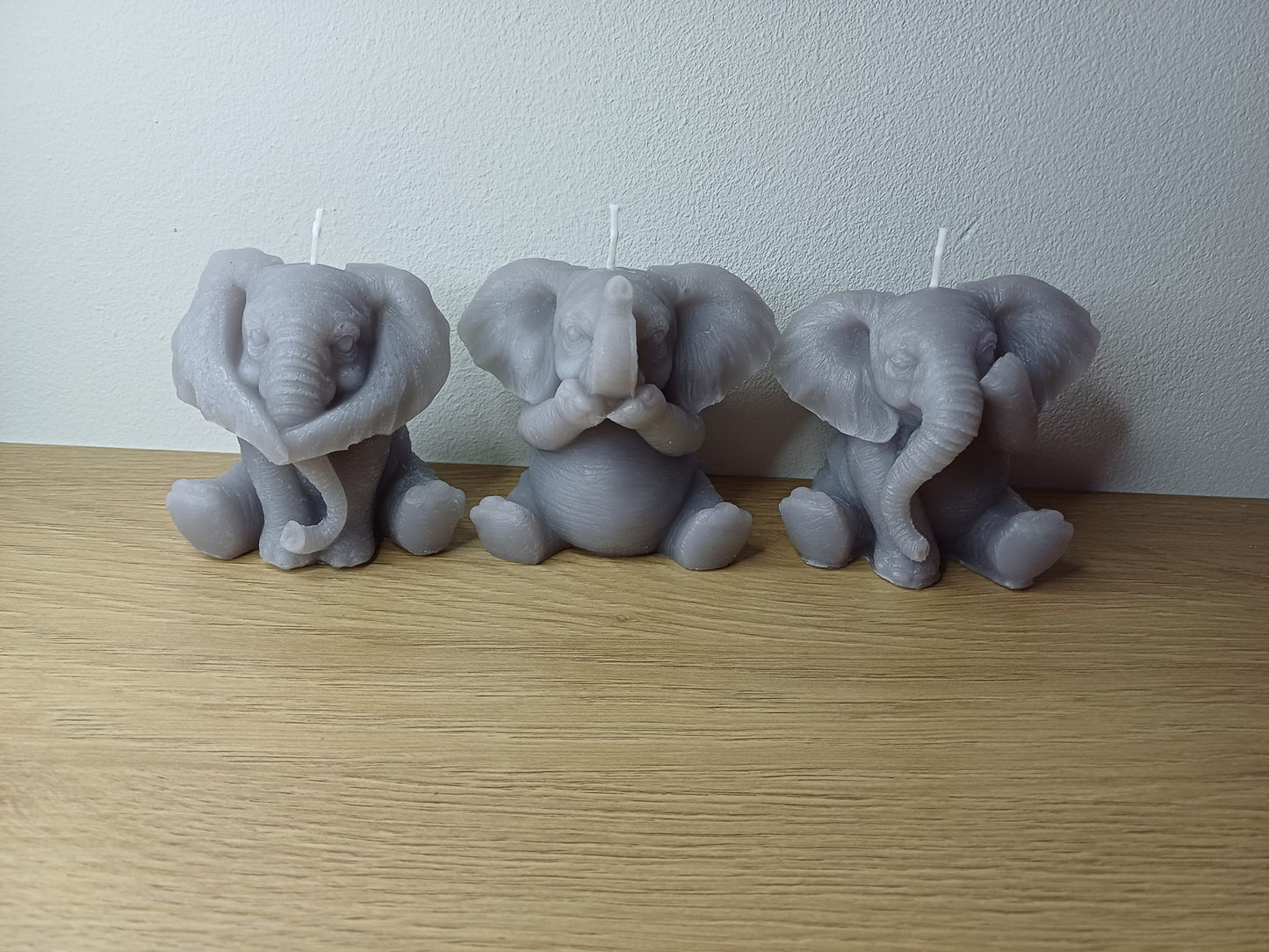 Olifanten 'HOREN - ZIEN - ZWIJGEN'