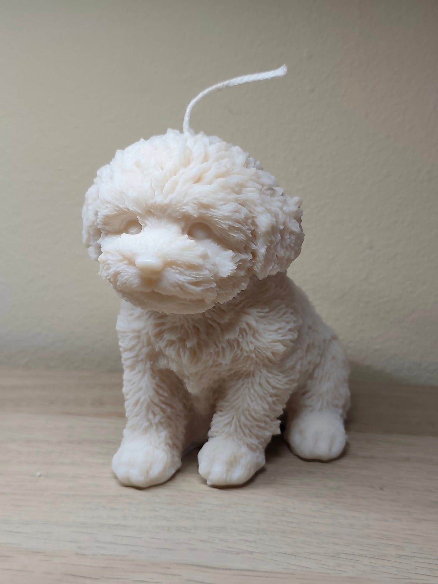 Puppy dog - Maltezer XL