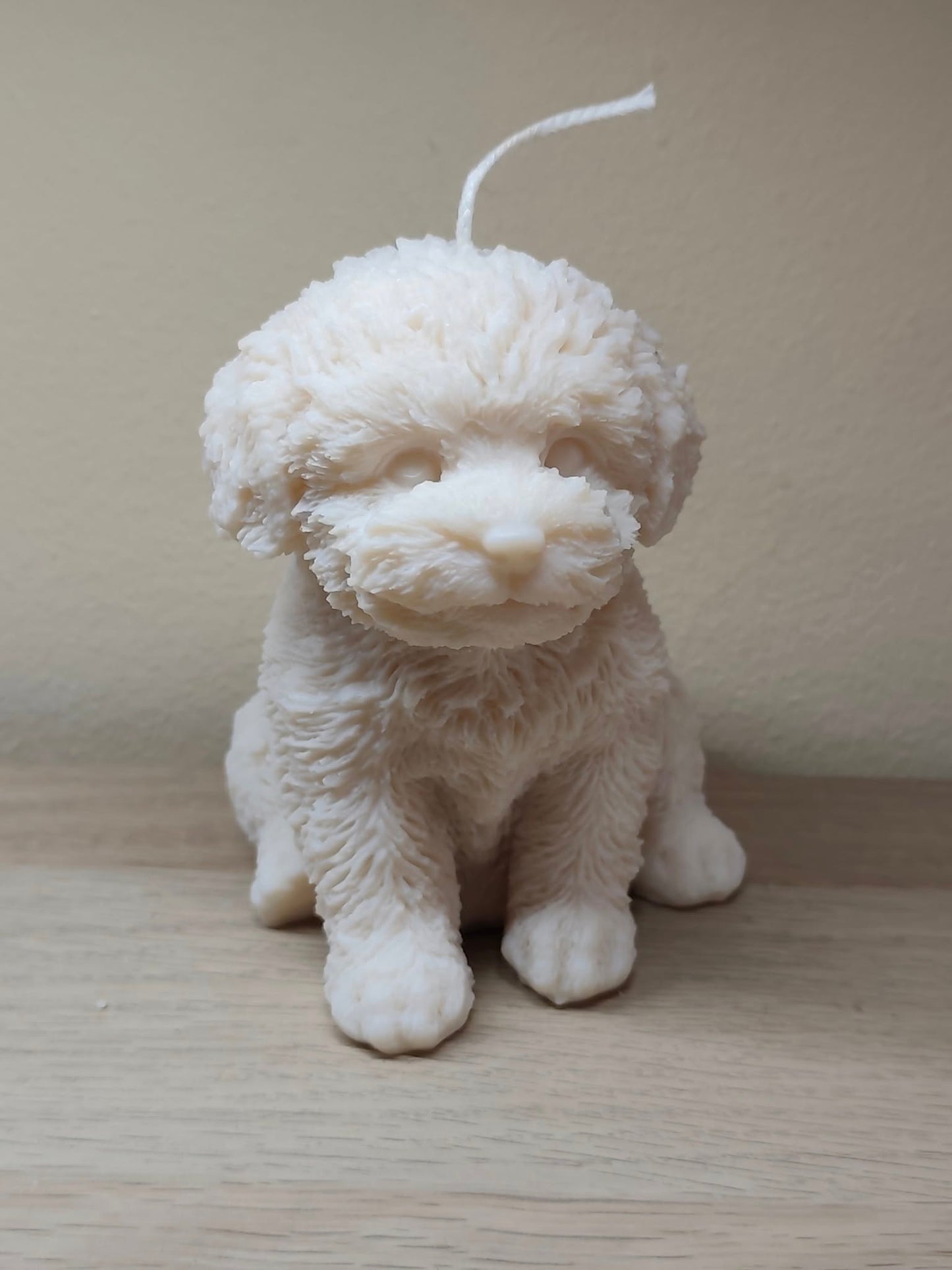 Puppy dog - Maltezer XL