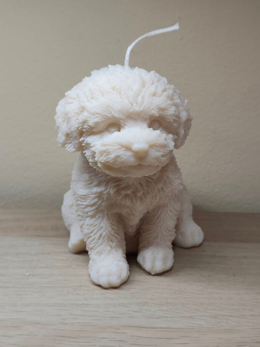 Puppy dog - Maltezer XL